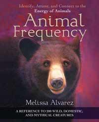 Animal Frequency By Melissa Alvarez