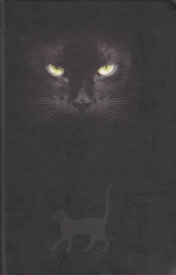 Cat's Eyes Journal