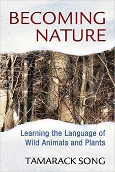 Becoming Nature Learning The Language Of Wild Animals & Plants By Tamarack Song