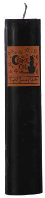 Black Cat Pillar