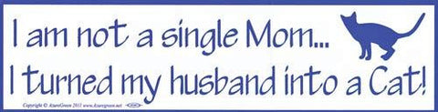 I Am Not A Single Mom