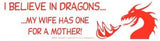 I Believe In Dragons