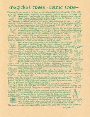 Celtic Trees Poster