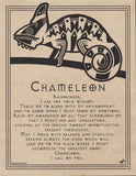 Chameleon Prayer