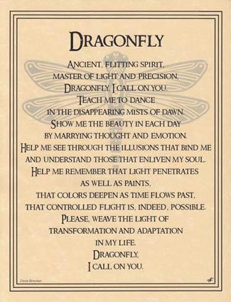 Dragonfly