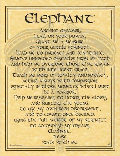 Elephant