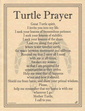 Turtle Prayer