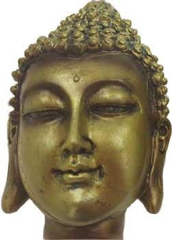 Buddha Box