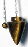 Plaintiger Eye