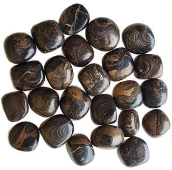 1 Lb Stromatolite (onyx Brown) Tumbled Stones