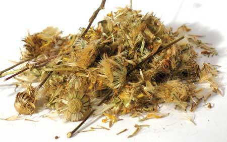 1 Lb Arnica Flower Whole