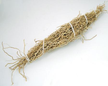 Patchouli Root 1 Root Bundle