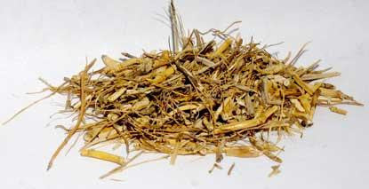 1 Lb Witches Grass Cut