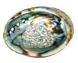 4"-5" Abalone Shell Burner