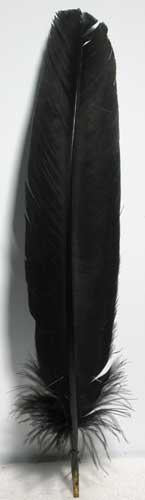 Black Feather