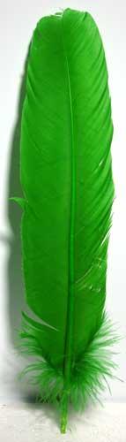 Green Feather