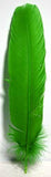 Green Feather