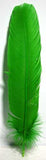 Green Feather