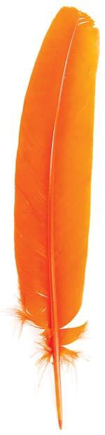 Orange Feather