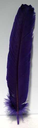Purple Feather