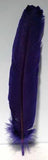 Purple Feather