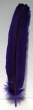 Purple Feather