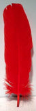 Red Feather