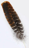 Turkey Wing Feather Shorts