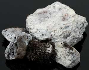 1 Lb Lodestones White