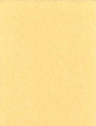 25pk 8 1-2"x11" Light Parchment