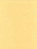 5pk 8 1-2"x11" Light Parchment