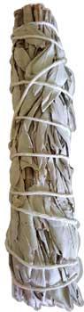 California White Sage Smudge 8"