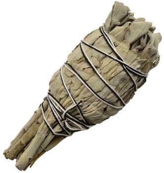 California White Sage Smudge 4"