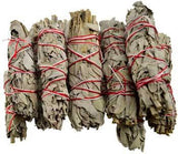 White Sage Smudge 12pk 3 1-2"