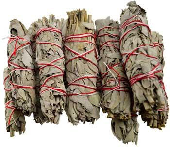 White Sage Smudge 12pk 3 1-2"