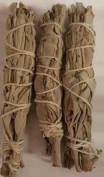 White Sage Smudge 3pk 3 1-2"