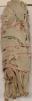 White Sage Smudge 5-6"