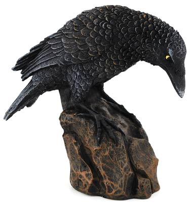Raven Down 5 1-2"