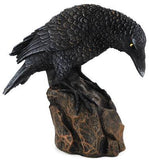 Raven Down 5 1-2"