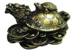Money Turtle 2 1-2"
