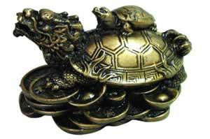 Money Turtle 2 1-2"