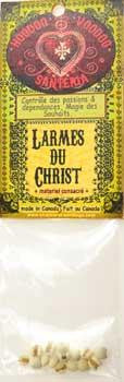 Lacrima Jobi